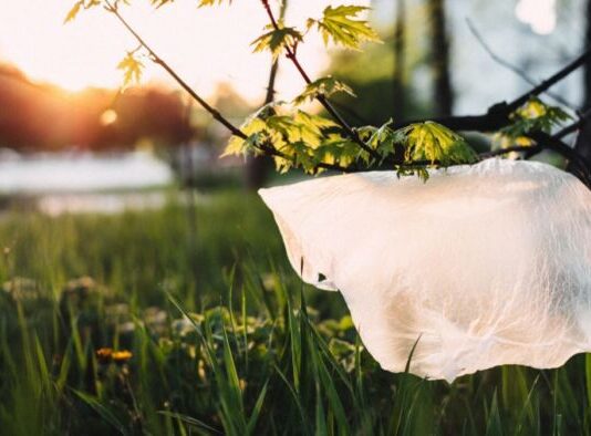 Bio-plastics Europe, a project on the reuse of compostable plastics