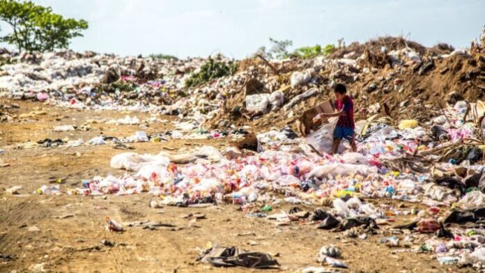 cropped-plastica4.jpg