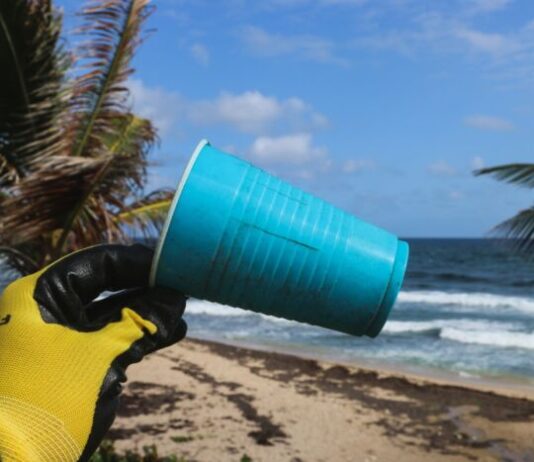 Microplastics problem extends beyond the ocean