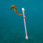 plastica_in_mare-wwf