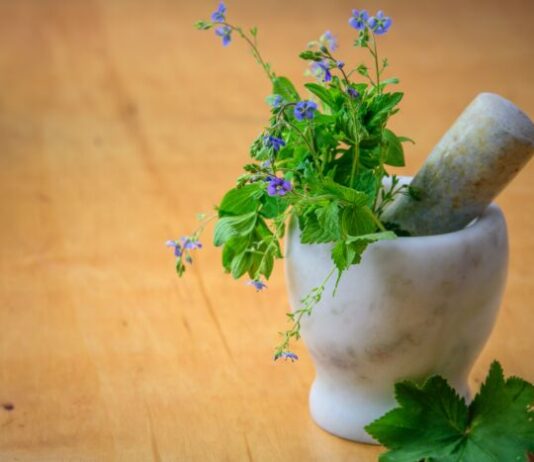 Innovation: a “Vertical Pharmacy” to cultivate medicinal plants