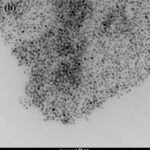 Figura 2 immagine ottenuta al microscopio elettronico a trasmissione dei core delle nanoparticelle
