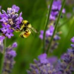 jenna-lee-f0OL01IHbCM-unsplash