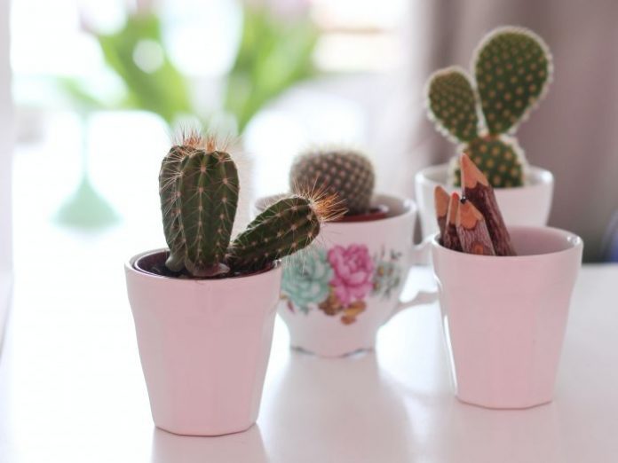 micheile-henderson-ZmOjJGHgnsY-unsplash (1)
