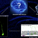 Graphical-abstract-by-Forte-e-Tunisi-Cristino-Lab