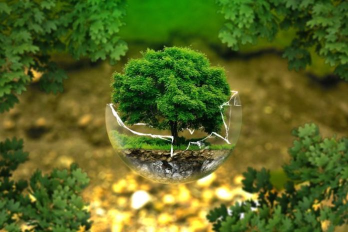 environmental-protection-ge55974f03_1920