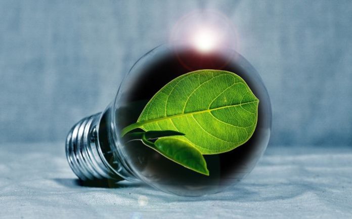 lightbulb-g6072dfcd7_1920