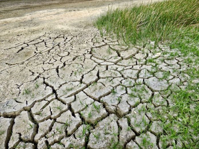 climate-change-g9a5c8c53b_1920