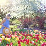 spring-2298280_1920
