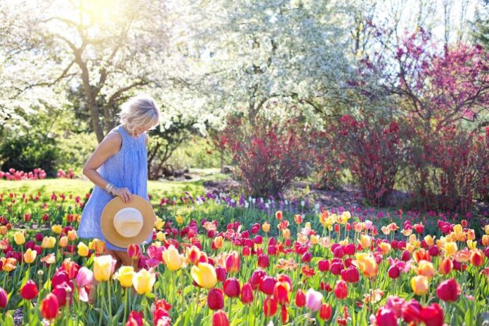 spring-2298280_1920