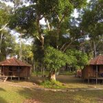 Xixuau-Amazon-Ecolodge_1