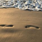 s-goswick-F2cWg366DeM-unsplash