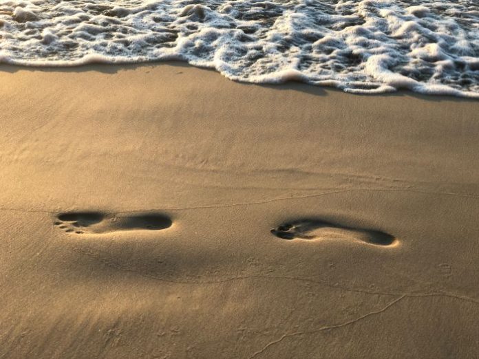 s-goswick-F2cWg366DeM-unsplash