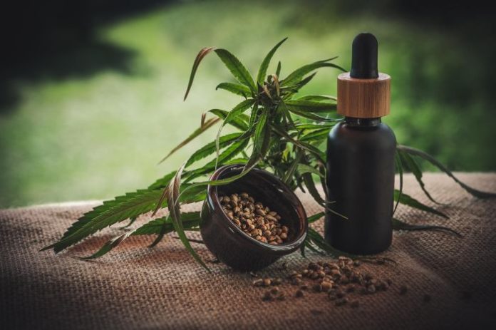 cbd-4474903_1920