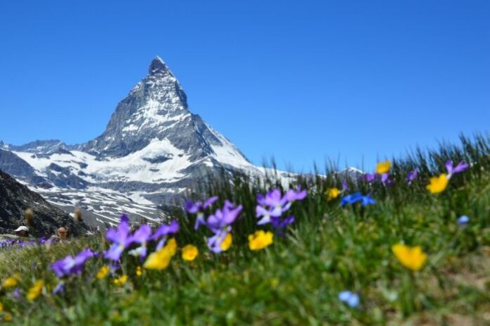 mountains-g636818566_1920