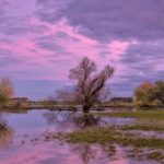 sunset-g02250a02b_1280