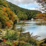 parco-appennino-tosco-emiliano-1