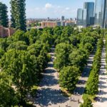 Un viale cittadino alberato e ombreggiato durante una calda giornata estiva, simbolo di forestazione urbana.