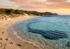 Mediterranean Coast Day: Reimagining Coastal Resilience and Circular Harmony for Our Shared Sea Splendida veduta aerea di una costa mediterranea con dune naturali e acque turchesi incontaminate.