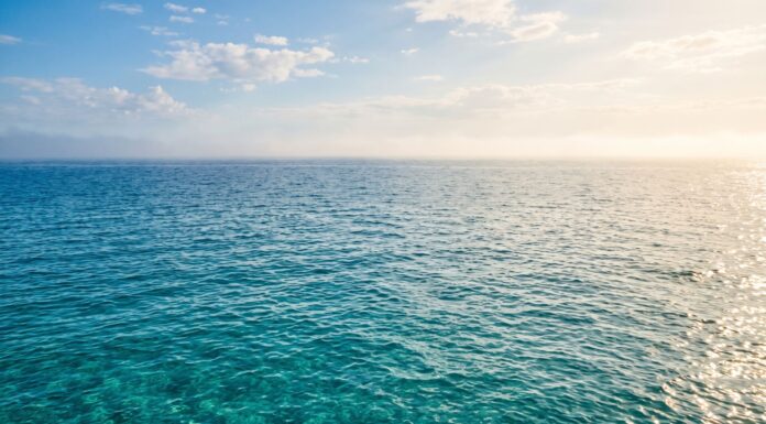 When the Mediterranean Breathes Slower: How Fading Winds and Warming Waters Shape the Sea’s Carbon Balance Superficie calma del Mar Mediterraneo illuminata dalla luce solare durante una giornata calda